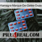 Kamagra-Marque-De-Gelée-Orale 05